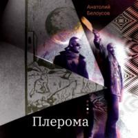 Плерома, audiobook Анатолия Белоусова. ISDN67977128