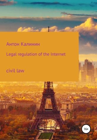 Legal regulation of the Internet - Антон Калинин