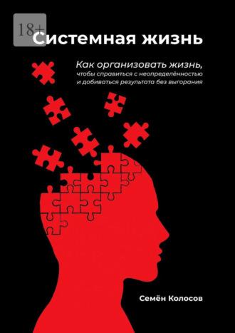 Системная жизнь. Как организовать жизнь, чтобы справиться с неопределённостью и добиваться результата без выгорания - Семён Колосов