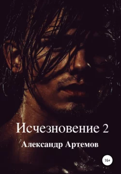 Исчезновение 2 - Александр Артемов