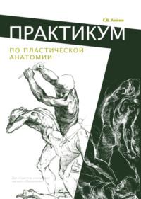 Практикум по пластической анатомии - Георгий Лойко