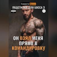 Он взял меня прямо в командировку. Подстилка для Босса 3 - Саманта Джонс