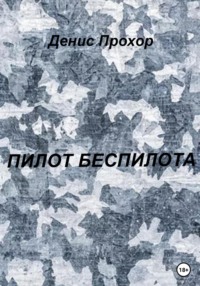 Пилот беспилота, аудиокнига Дениса Викторовича Прохора. ISDN68413645