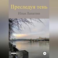 Преследуя тень, аудиокнига Ильи Лапатина. ISDN68558858