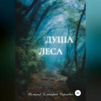 Душа Леса, książka audio Дмитрия Сергеевича Романова. ISDN68558985