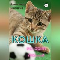 Кошка. История любви - Александр Щетинин