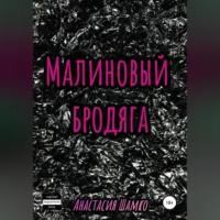 Малиновый бродяга, audiobook Анастасии Ивановны Шамко. ISDN68559117