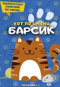 Кот по имени Барсик 2, аудиокнига Светланы Потаповой. ISDN68648073