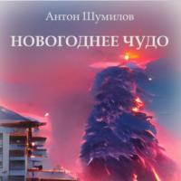 Новогоднее чудо, аудиокнига Антона Шумилова. ISDN68691969