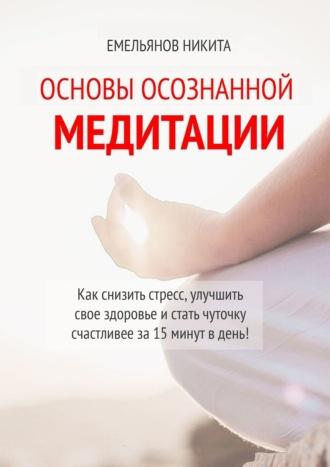 Основы осознанной медитации - Никита Емельянов