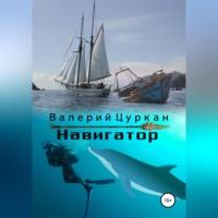 Навигатор, książka audio Валерия Цуркана. ISDN68694183