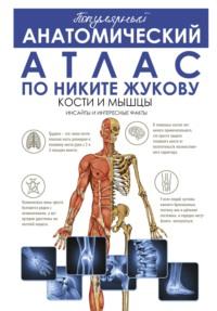 Популярный анатомический атлас по Никите Жукову. Кости и мышцы. Инсайды и интересные факты - Никита Жуков