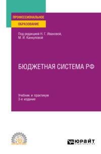 Бюджетная система РФ 3-е изд., пер. и доп. Учебник и практикум для СПО - Елена Писклюкова