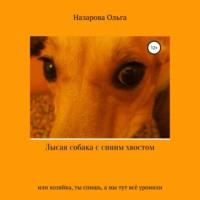 Лысая собака с синим хвостом, или хозяйка, ты спишь, а мы тут всё уронили!, audiobook Ольги Станиславовны Назаровой. ISDN68788005