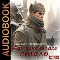 Как закалялась сталь, audiobook Николая Алексеевича Островского. ISDN68799744