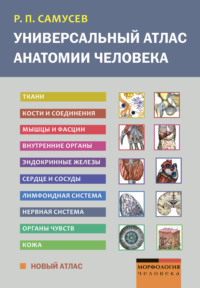 Универсальный атлас анатомии человека - Рудольф Самусев