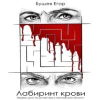 Лабиринт Крови, audiobook Егора Бушева. ISDN68832741