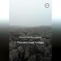 Неизвестная тундра, audiobook Владислава Даркшевича. ISDN68888013