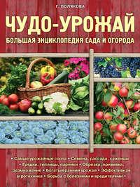 Чудо-урожай. Большая энциклопедия сада и огорода - Галина Полякова