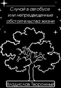 Случай в автобусе, или Непредвиденные обстоятельства жизни, аудиокнига Владислава Творожного. ISDN68899293