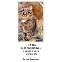 Сказка о приключениях лесного кота Барсика - Татьяна Тумилевич