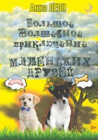 Большое волшебное приключение маленьких друзей, аудиокнига Анны Леон. ISDN68912766