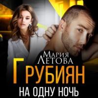 Грубиян на одну ночь, audiobook Марии Летовой. ISDN68933493
