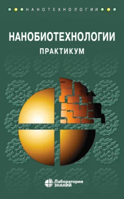 Нанобиотехнологии. Практикум - Андрей Рубин