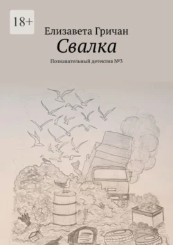 Свалка. Познавательный детектив №3, аудиокнига Елизаветы Гричан. ISDN68954895