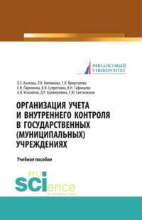 Организация учета и внутреннего контроля в государственных (муниципальных) учреждениях. (Бакалавриат, Магистратура). Монография.