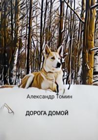Дорога домой - Александр Томин