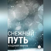 Снежный путь, аудиокнига Владимира Иванова. ISDN68987779