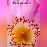 Цветок шиповника, аудиокнига Юрия Юрьевича Кузнецова. ISDN68987800