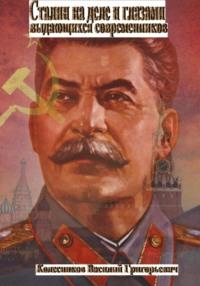 Сталин на деле и глазами выдающихся современников - Василий Колесников