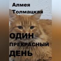 Один прекрасный день -  Алмея Толмацкая