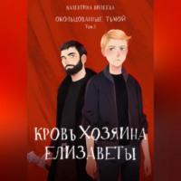 Окольцованные тьмой. Том 3. Кровь хозяина Елизаветы - Валентина Вилеева