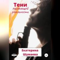 Тени пылающей реальности, audiobook Екатерины Петровны Шумаевой. ISDN69020533
