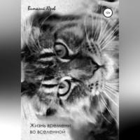 Жизнь времени во вселенной, audiobook Виталия Юрова. ISDN69020794