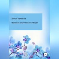 Правовая защита милых пташек - Антон Калинин