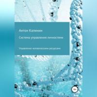 Система управления личностями - Антон Калинин