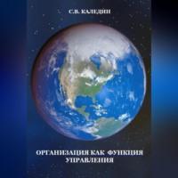 Организация как функция управления - Сергей Каледин