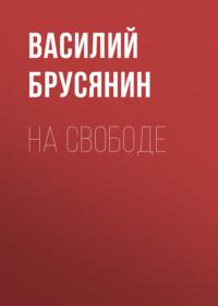 На свободе, audiobook Василия Брусянина. ISDN69029284