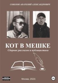 Не фига себе! Размышления о жизни, аудиокнига Соколова Анатолия. ISDN69062482