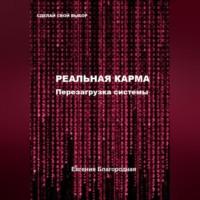 Реальная Карма. Перезагрузка системы, audiobook Евгении Благородной. ISDN69076426