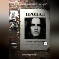 Тайна адептов секты «Нигнум». Часть 2, audiobook Елены Гроссман. ISDN69076429