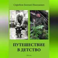 Путешествие в детство, аудиокнига Евгения Николаевича Стребкова. ISDN69124159