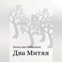 Два Митяя, audiobook Вячеслава Владимировича Рыбалкина. ISDN69144271