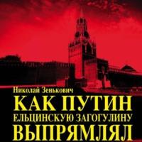 Как Путин ельцинскую загогулину выпрямлял, audiobook Николая Зеньковича. ISDN69159655