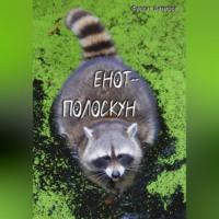 Енот-полоскун, audiobook Фаргата Закирова. ISDN69164128