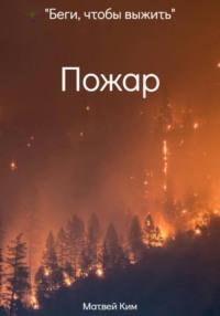 Пожар, аудиокнига Матвея Олеговича Кима. ISDN69166693